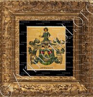 cadre-ancien-or-OTTENEY_Wappenbuch der Stadt Basel . B.Meyer Knaus 1880_Schweiz 