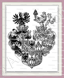 HAYEK von WALDSTÄTTEN