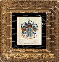 cadre-ancien-or-HUYGENS_Wapenboek van den Nederlandschen Adel. (J.B. Rietstap)._Nederland (i)