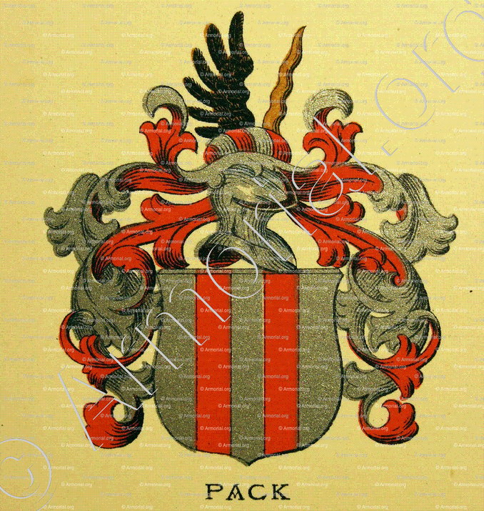 PACK_Wappenbuch der Stadt Basel . B.Meyer Knaus 1880_Schweiz 