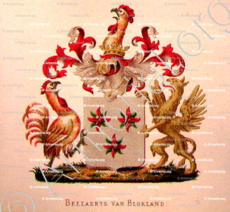 BEELAERTS van BLOKLAND