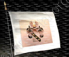 drapeau-BEELDSNIJDER