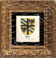 cadre-ancien-or-AARCE_Valladolid_España (2)