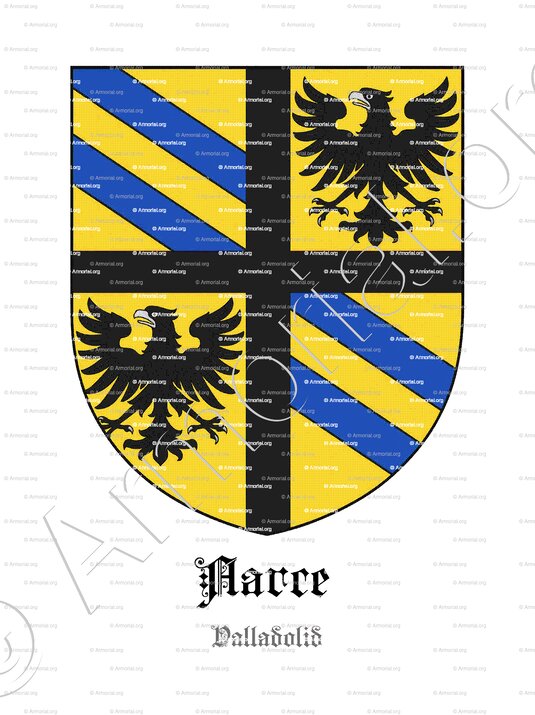 AARCE_Valladolid_España (2)