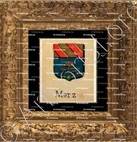 cadre-ancien-or-MERZ_Livre d'Or du Canton de Fribourg (Freiburg). (Alfred Raemy, 1898)_Schweiz Suisse Svizzera Switz