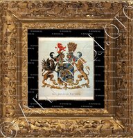 cadre-ancien-or-van AERSSEN_Wapenboek den Nederlandschen Adel. (J.B. Rietstap)._Nederland