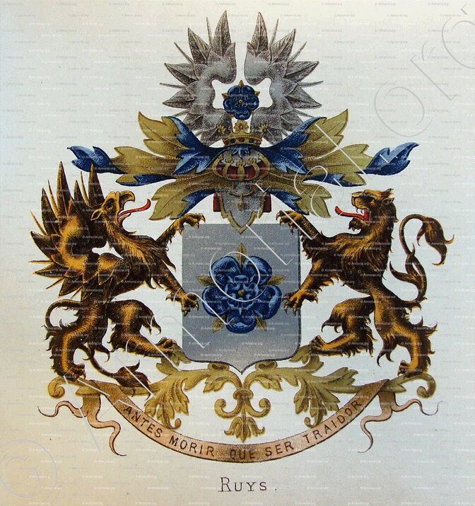 RUYS_Vlaams-Brabant, Oost-Vlaanderen, Noord-Holland._België, Nederland