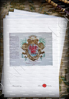 velin-d-Arches-NICE 1741_Armorial Nice. (J. Casal, 1903) (Bibl. mun. de Nice)._France