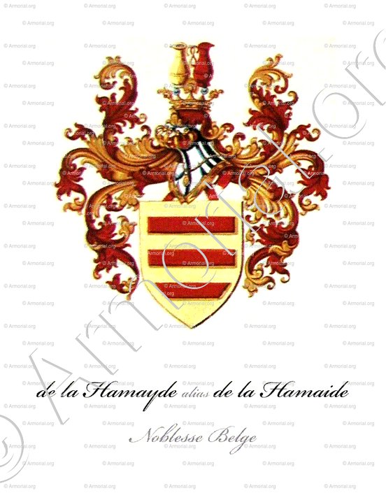 HAMAYDE ou HAMAIDE (de la)_Noblesse belge_Belgique (2)()
