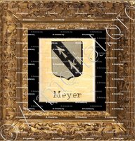 cadre-ancien-or-MEYER_Livre d'Or du Canton de Fribourg (Freiburg). (Alfred Raemy, 1898)_Schweiz Suisse Svizzera Switz