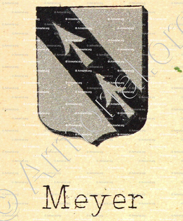 MEYER_Livre d'Or du Canton de Fribourg (Freiburg). (Alfred Raemy, 1898)_Schweiz Suisse Svizzera Switz