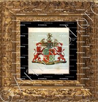 cadre-ancien-or-van BARNAART_Wapenboek van den Nederlandschen Adel. (J.B. Rietstap)._Nederland (i)