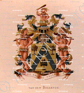 Van de  BOGAERDE