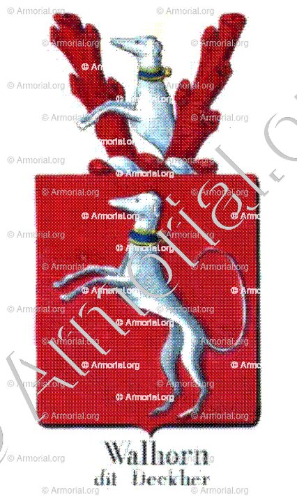 WALHORN dit DECKHER_Armorial royal des Pays-Bas_Europe