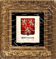 cadre-ancien-or-CHÂTEAUMORAND_Forez_France (2)