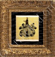 cadre-ancien-or-PFAFF_Wappenbuch der Stadt Basel . B.Meyer Knaus 1880_Schweiz 