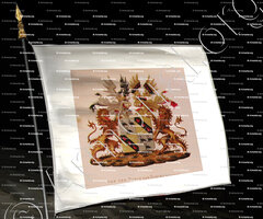 drapeau-Van der BORCH van ROUWENOORT_Wapenboek van den Nederlandschen Adel door J.B.Rietstap 1883 1887_Nederland