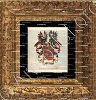 cadre-ancien-or-van ROMONDT_Wapenboek van den Nederlandschen Adel. (J.B. Rietstap)._Nederland (i)