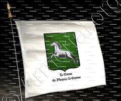 drapeau-Le CORNU du PLESSIS de COSME_Maine_France (2)