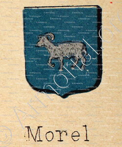 MOREL