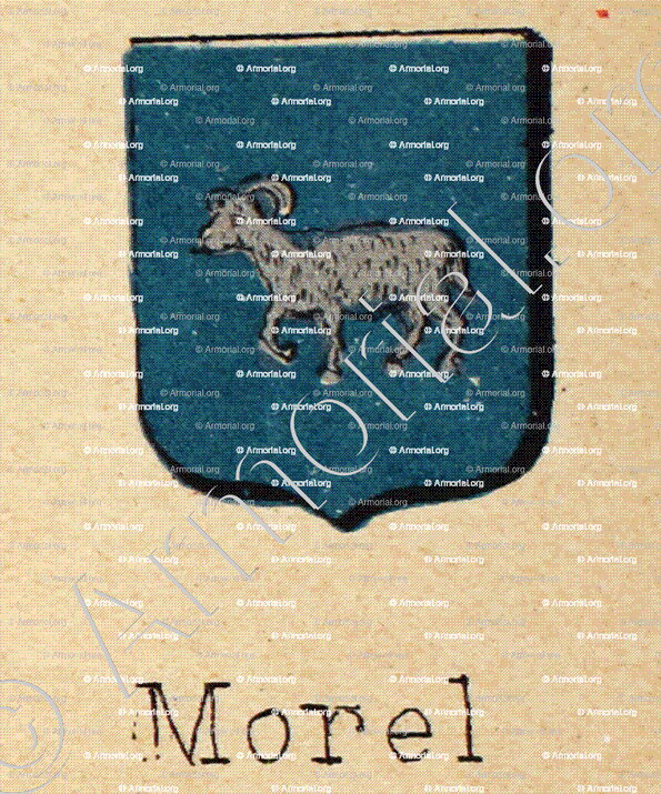 MOREL_Livre d'Or du Canton de Fribourg (Freiburg). (Alfred Raemy, 1898)_Schweiz Suisse Svizzera Switz