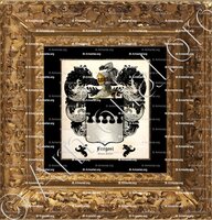 cadre-ancien-or-FREGOSI_Genova, Padova._Italia (1)