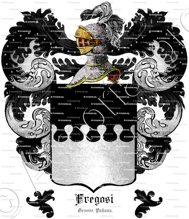 FREGOSI_Genova, Padova._Italia (1)