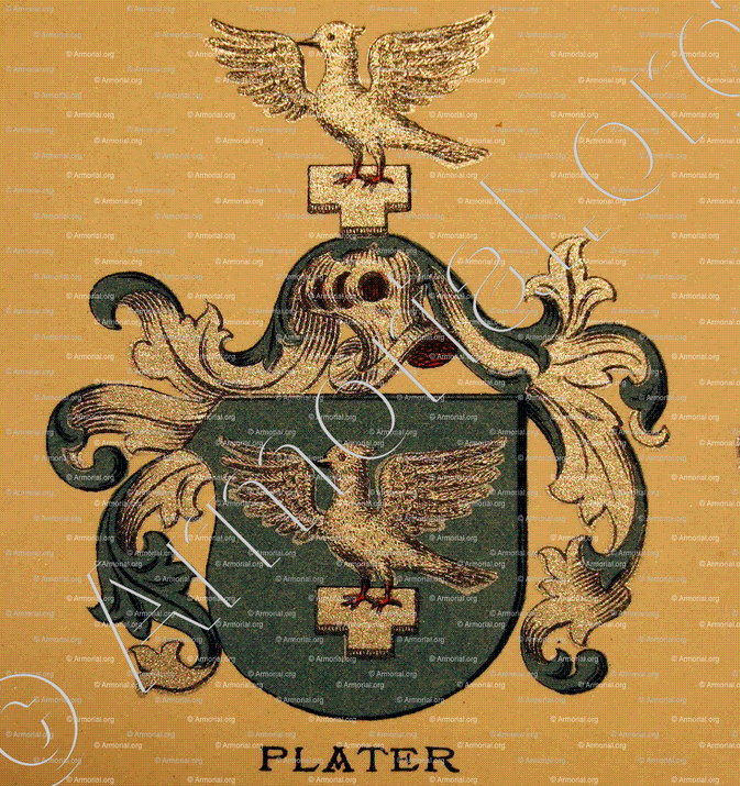 PLATER_Wappenbuch der Stadt Basel . B.Meyer Knaus 1880_Schweiz 