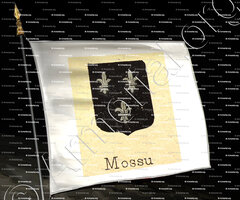 drapeau-MOSSU_Livre d'Or du Canton de Fribourg (Freiburg). (Alfred Raemy, 1898)_Schweiz Suisse Svizzera Switz