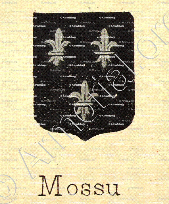 MOSSU_Livre d'Or du Canton de Fribourg (Freiburg). (Alfred Raemy, 1898)_Schweiz Suisse Svizzera Switz