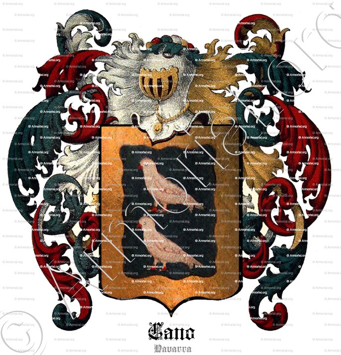 CANO_Navarra_España