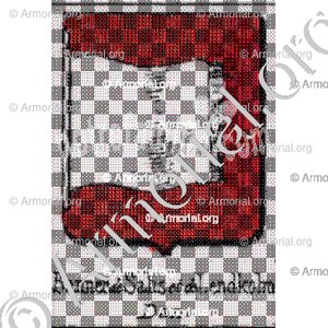 Banner de Salis et de Lendkolm