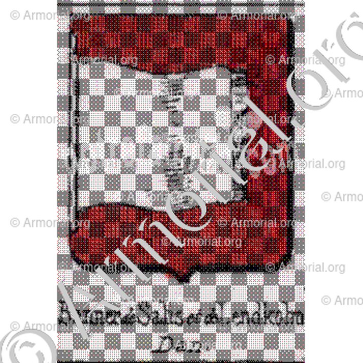 Banner de Salis et de Lendkolm__