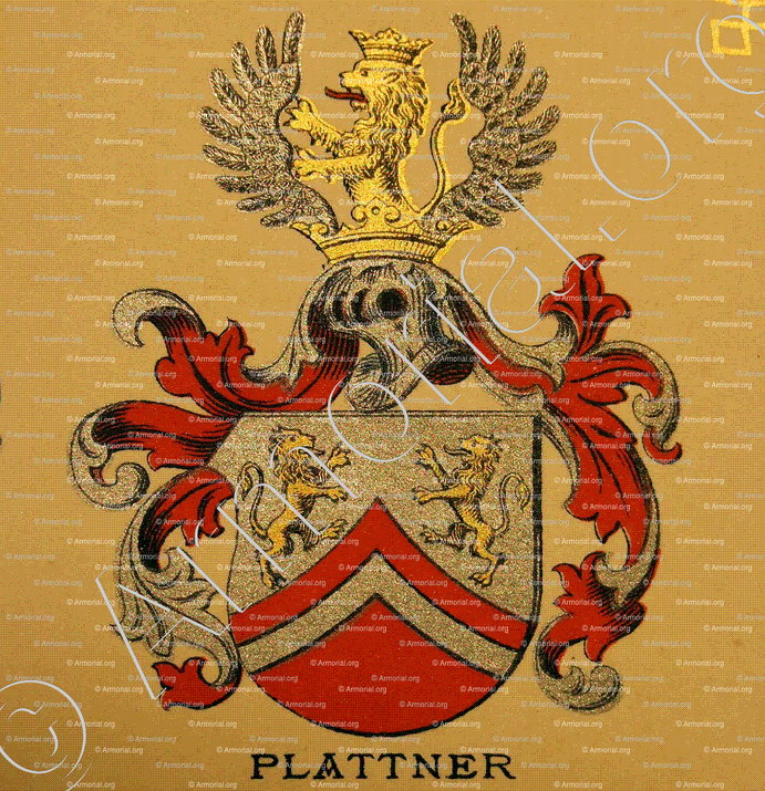 PLATTNER_Wappenbuch der Stadt Basel . B.Meyer Knaus 1880_Schweiz 