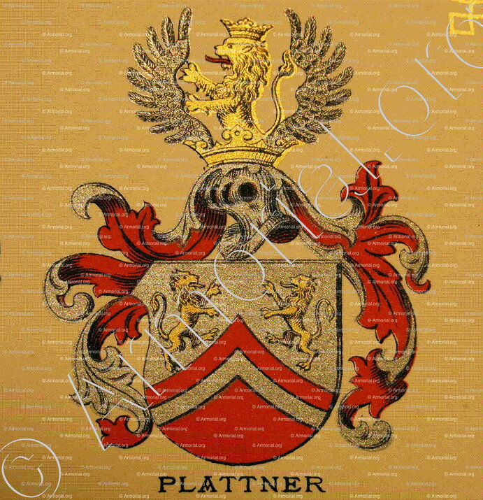 PLATTNER_Wappenbuch der Stadt Basel . B.Meyer Knaus 1880_Schweiz 