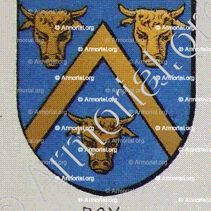 ROY de LECLUSE et de LACHAISE _Bourbonnais_France (1)