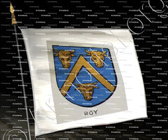 drapeau-ROY de LECLUSE et de LACHAISE _Bourbonnais_France (1)