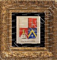 cadre-ancien-or-GOURLEZ DE LA MOTTE_Noblesse d'Empire._France