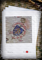 velin-d-Arches-ROCHEDRAGON (de)_Armorial de Guillaume Revel, 1401-1456._France ++