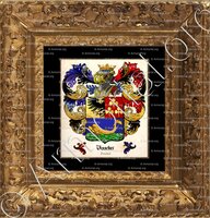 cadre-ancien-or-VISSCHER_Friesland_Nederland (1)