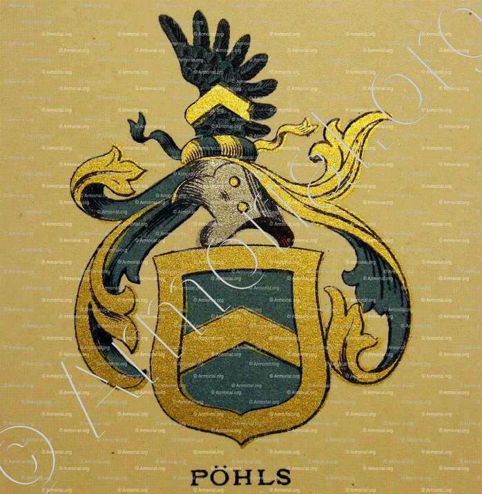 PÖHLS_Wappenbuch der Stadt Basel . B.Meyer Knaus 1880_Schweiz 