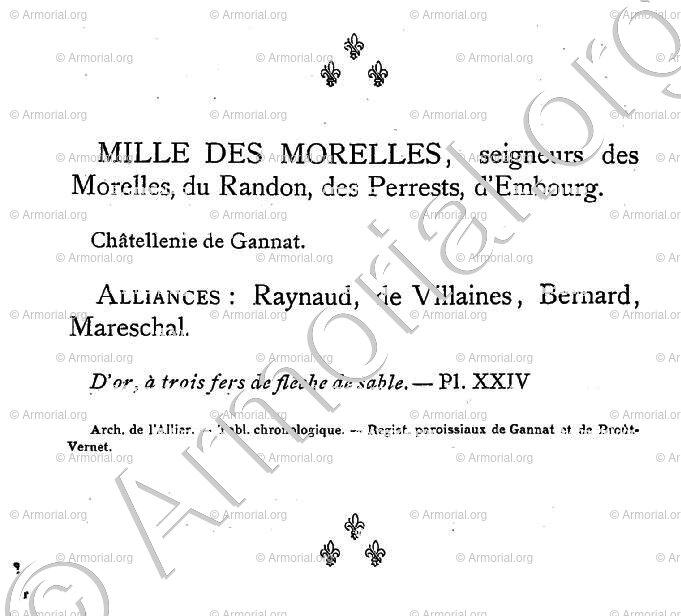 MILLE DES MORELLES