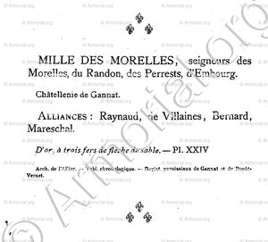 MILLE des MORELLES_Bourbonnais_France (5)