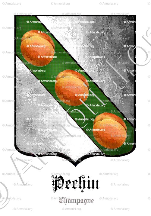 PECHIN_Champagne (1)_France (2)