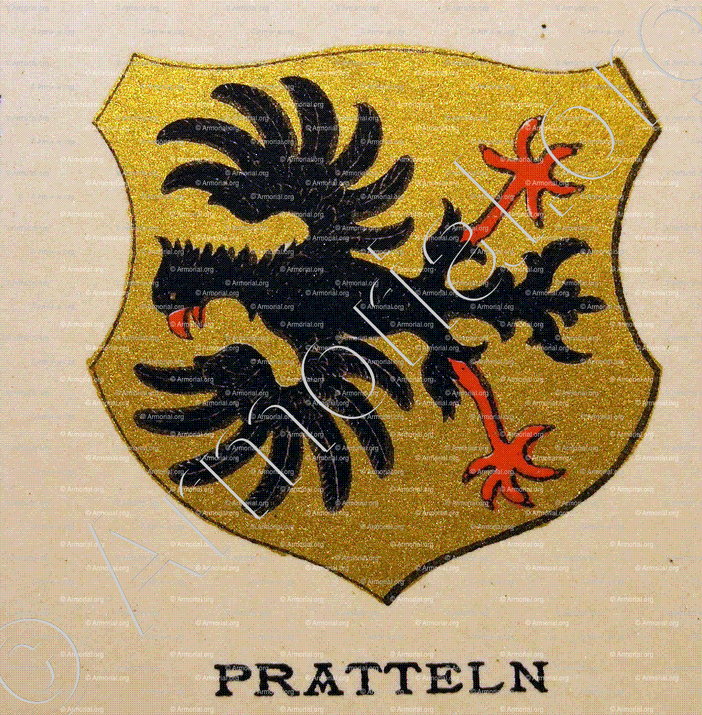 PRATTELN_Wappenbuch der Stadt Basel . B.Meyer Knaus 1880_Schweiz 
