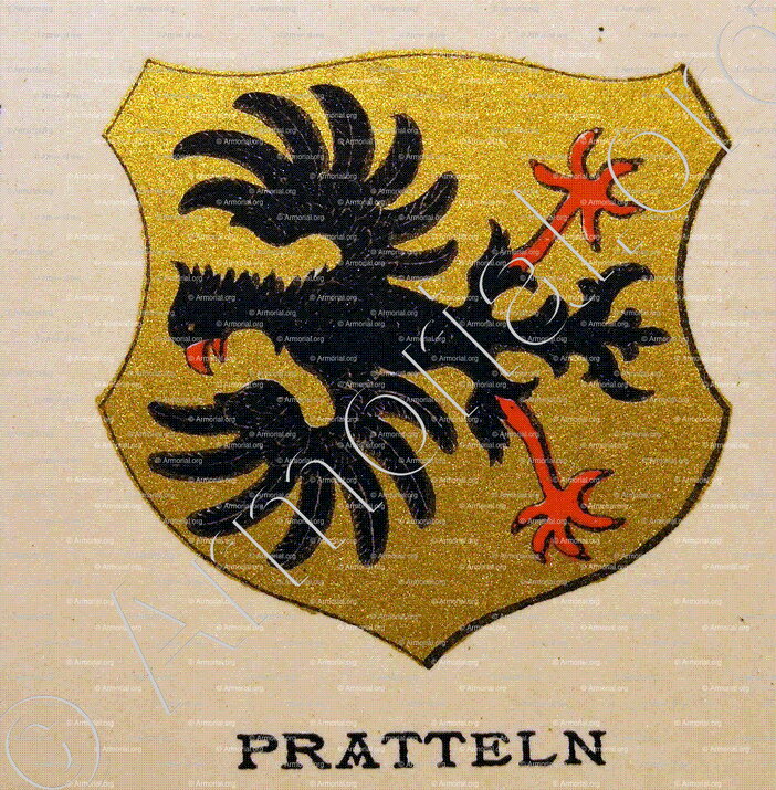 PRATTELN_Wappenbuch der Stadt Basel . B.Meyer Knaus 1880_Schweiz 