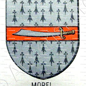 MOREL_Bourbonnais_France (3)