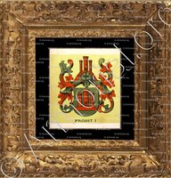 cadre-ancien-or-PROBST_Wappenbuch der Stadt Basel . B.Meyer Knaus 1880_Schweiz  (