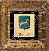 cadre-ancien-or-NICOLET_Livre d'Or du Canton de Fribourg (Freiburg). (Alfred Raemy, 1898)_Schweiz Suisse Svizzera Switz