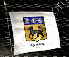 drapeau-CHANTELOUP_Maine_France (2)